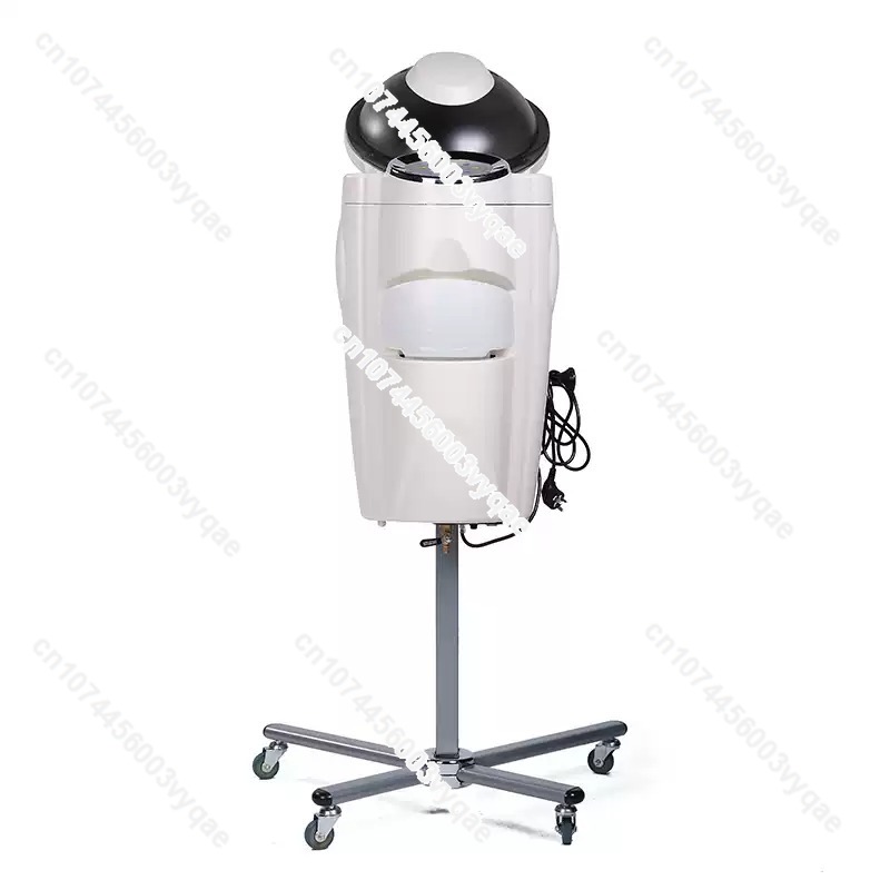 Hair Care Salon - Oil Treatment Ozone Micro Mist Steam