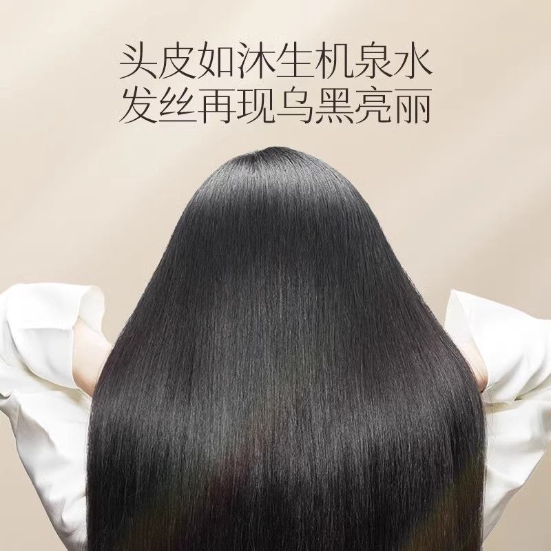 Changfa Xiaozhai Rice Water Sh - Hair Care With Rice Water recension och pris